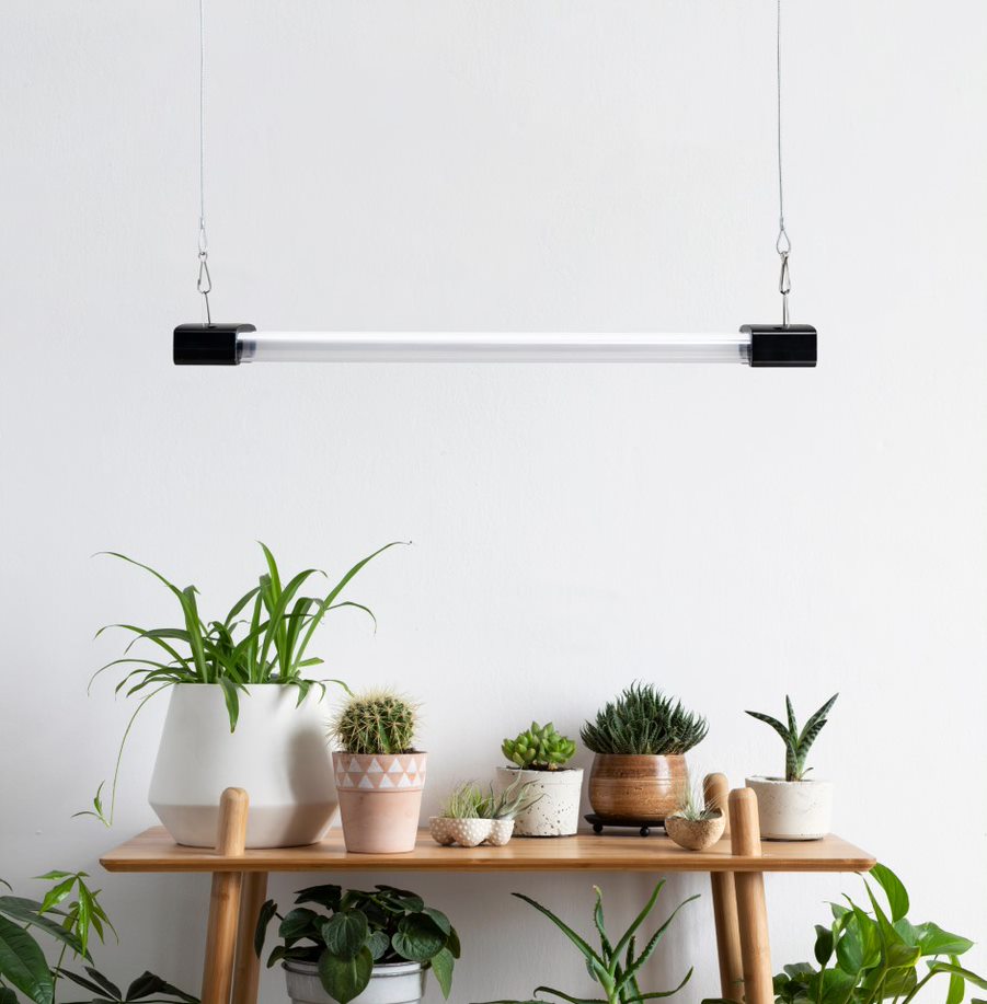 Essential Grow